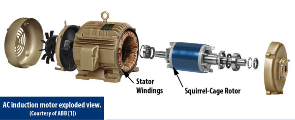 Exploded View of AC Induction Motor